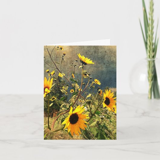 Dicht bij je gestructureerde zonnebloemen Moessonw Kaart (Voorkant)