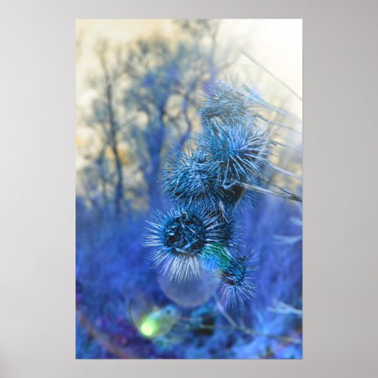 Dicht in Paars Poster (Voorkant)