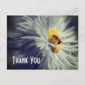 Dichtbij Bij op Bloem Dank Je Ansichtkaart Briefkaart (Voorkant)