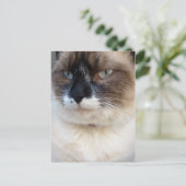 Dichtbij Briefkaart (Staand voorkant)