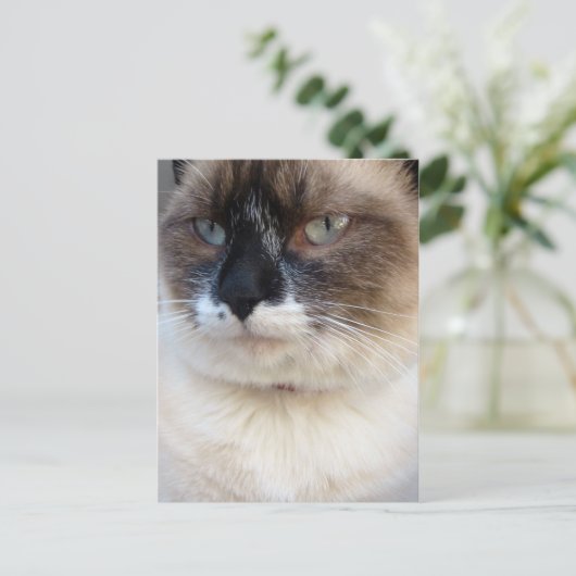 Dichtbij Briefkaart (Staand voorkant)