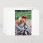 Dichtbij en persoonlijk met mannelijke Proboscis-a Briefkaart (Voorkant / Achterkant)