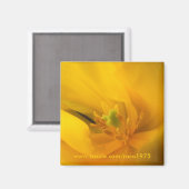 Dichtbij jou magneet (Voorkant / Achterkant)