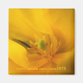 Dichtbij jou magneet (Voorkant)