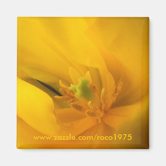 Dichtbij jou magneet