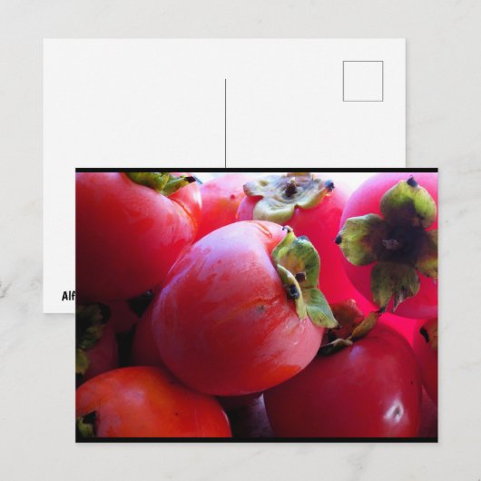 Dichtbij persimmonfruit briefkaart (Voorkant / Achterkant)