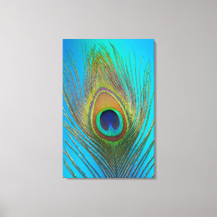 Dichtbij van pauwenveer canvas afdruk