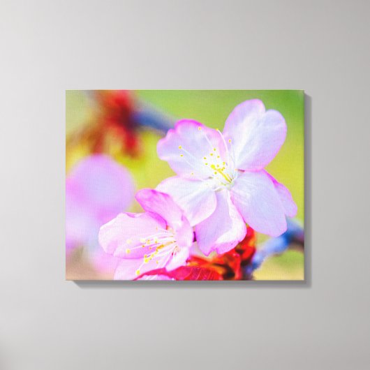 Dichtbijzicht van Roze Sakura Kersenbloesems Canvas Afdruk (Voorkant)