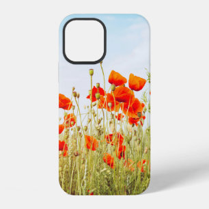 Dichtbijzijnde klaprozen op het veld. Wilde bloeme iPhone 12 Hoesje