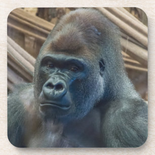 Dichte harde plastic onderzetters van de gorilla