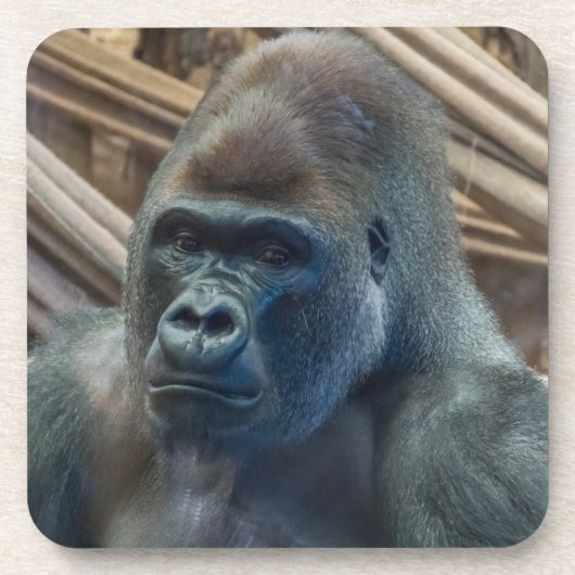 Dichte harde plastic onderzetters van de gorilla (Voorkant)