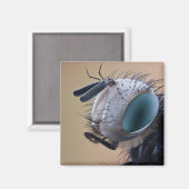 Dichte Insect Head Magneet (Voorkant / Achterkant)