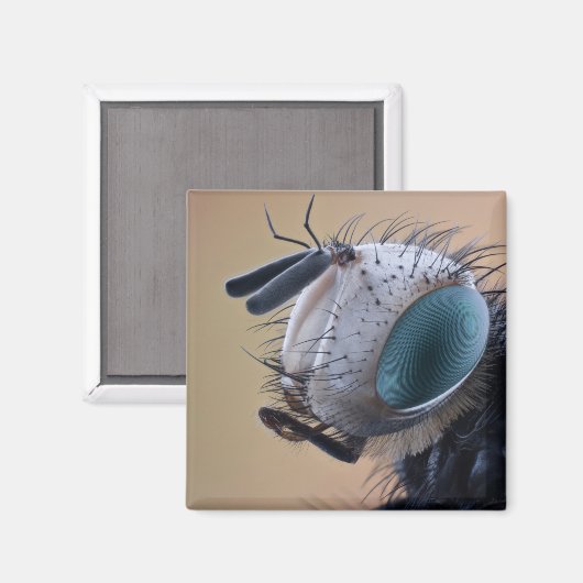 Dichte Insect Head Magneet (Voorkant / Achterkant)