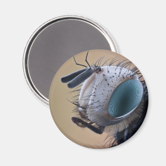 Dichte Insect Head Magneet (Voorkant / Achterkant)