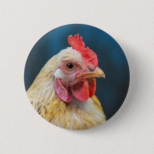 Dichte kuikens ronde button 5,7 cm (Voorkant)