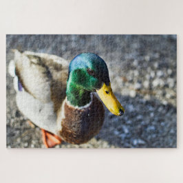 Dichte mannelijke wilde eenden legpuzzel