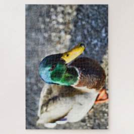 Dichte mannelijke wilde eenden legpuzzel