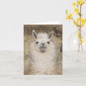 Dichte omhooggaand van de Lama van de alpaca - Kaart (Gele Bloem)
