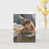 Dichte Omhooggaand van de poema Kaart (Gele Bloem)