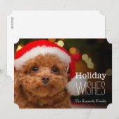 Dichte omhooggaand, van een rode speelgoedpoedel feestdagenkaart (Voorkant / Achterkant)