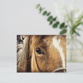 Dichte Omhooggaand van het paard Briefkaart (Staand voorkant)