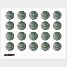 Dichte sparboom close-up, Kerst esthetiek Ronde Sticker