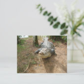 Dichte Vraag Briefkaart (Staand voorkant)