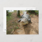 Dichte Vraag Briefkaart (Voorkant / Achterkant)