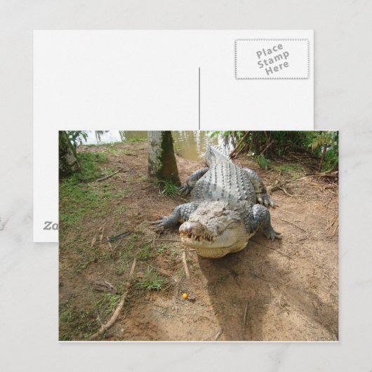 Dichte Vraag Briefkaart (Voorkant / Achterkant)