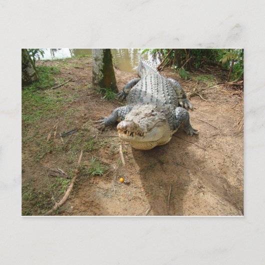 Dichte Vraag Briefkaart (Voorkant)