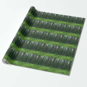 Dichte Zomerbossen: Landschapspanorama. Cadeaupapier