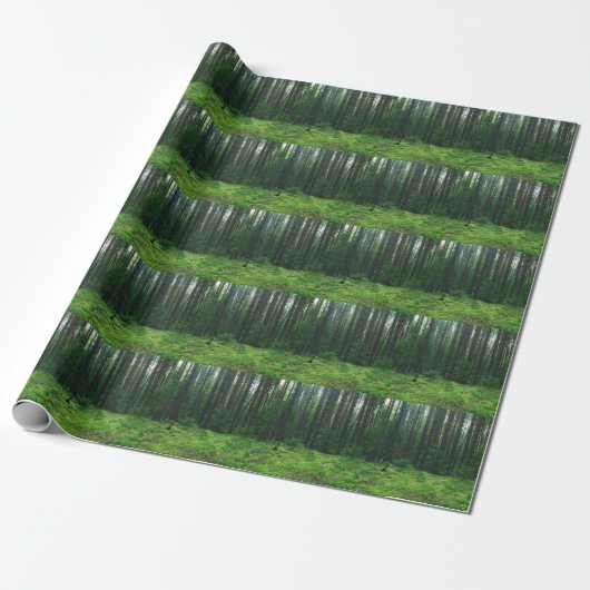 Dichte Zomerbossen: Landschapspanorama. Cadeaupapier (Uitgerold)