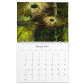 Dichtheid flora 2009 kalender (Jan 2027)
