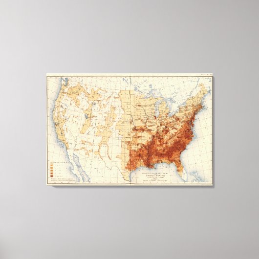 Dichtheid Negropopulatie Canvas Afdruk (Voorkant)