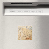 Dichtheid Negropopulatie Magneet (Insitu (Vaatwasser))