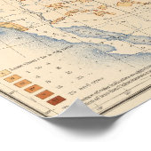 Dichtheid Negropopulatie Poster (Hoek)