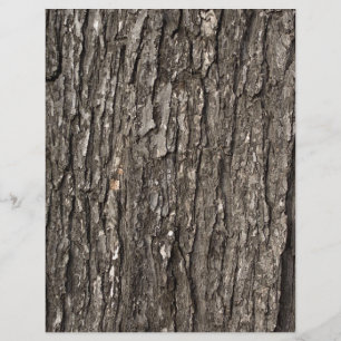 Dick Tree Bark