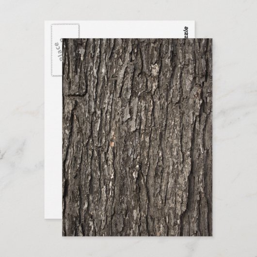 Dick Tree Bark Briefkaart (Voorkant / Achterkant)