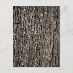 Dick Tree Bark Briefkaart
