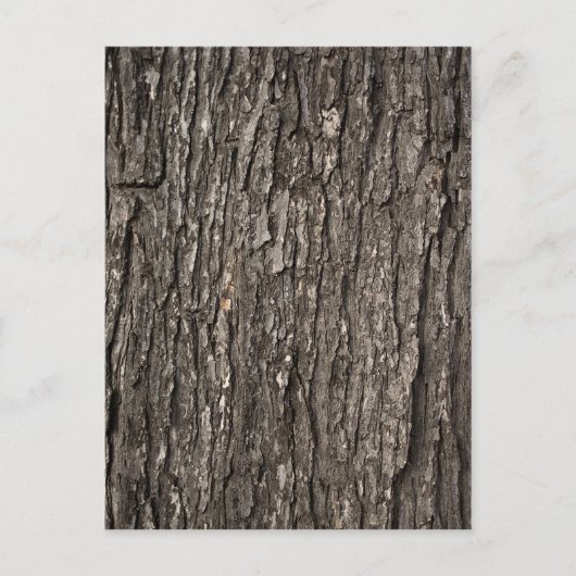 Dick Tree Bark Briefkaart (Voorkant)