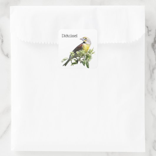 Dickcissel Bird Vierkante Sticker (Tas)