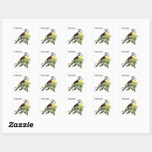 Dickcissel Bird Vierkante Sticker (Vel)