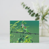 Dickcissel Briefkaart (Staand voorkant)