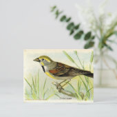 Dickcissel Briefkaart (Staand voorkant)