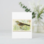 Dickcissel Briefkaart (Staand voorkant)