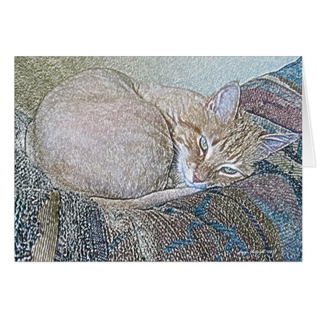 Dickens (Voorkant Horizontaal)