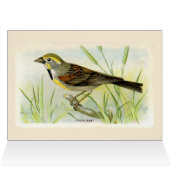 Dicki Bird Hartelijk dank (Binnen Horizontaal (Boven))