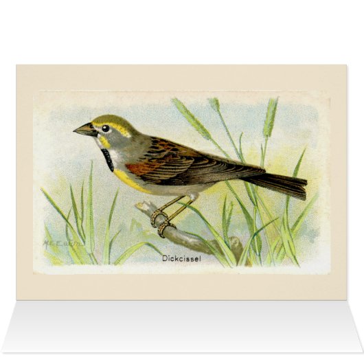 Dicki Bird Hartelijk dank (Binnen Horizontaal (Boven))