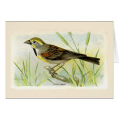 Dicki Bird Hartelijk dank (Voorkant Horizontaal)