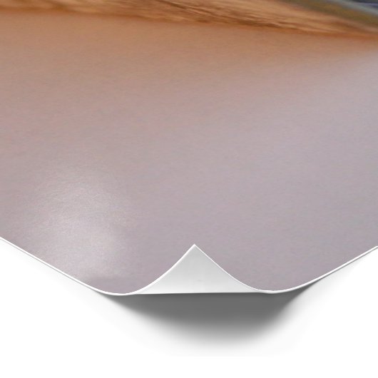 DicofinAngle Engels-Frans Miniatuur Book poster (Hoek)